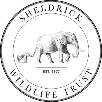 The David Sheldrick Wildlife Trust USA logo