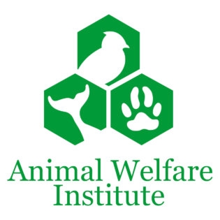 Animal Welfare Institute Logo