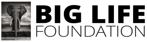 Big Life Logo